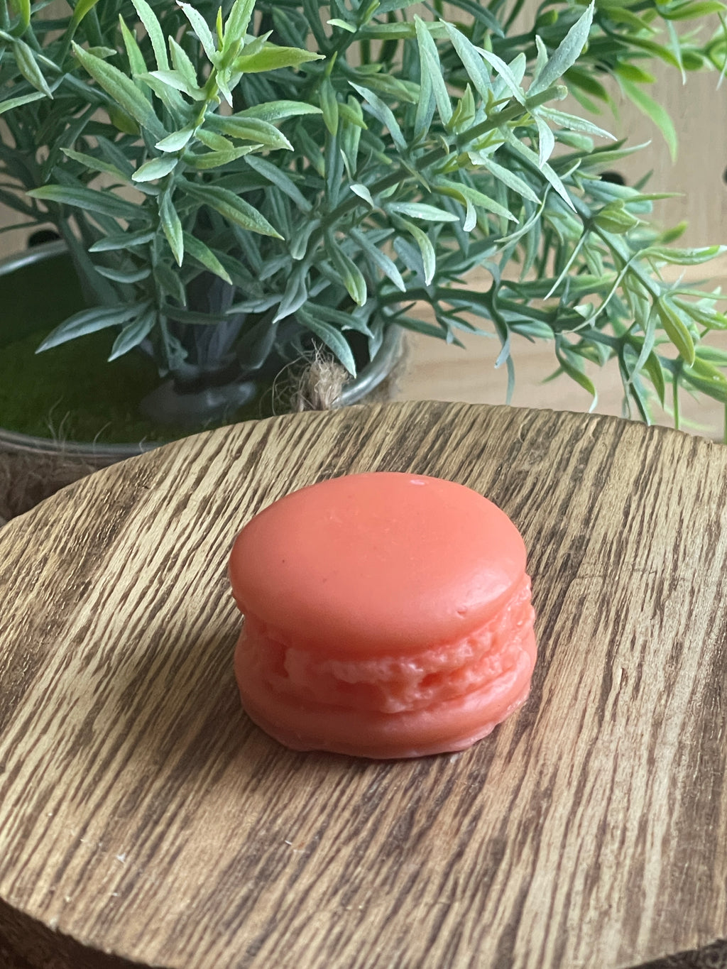 Set of 2 Macaron Wax Melts