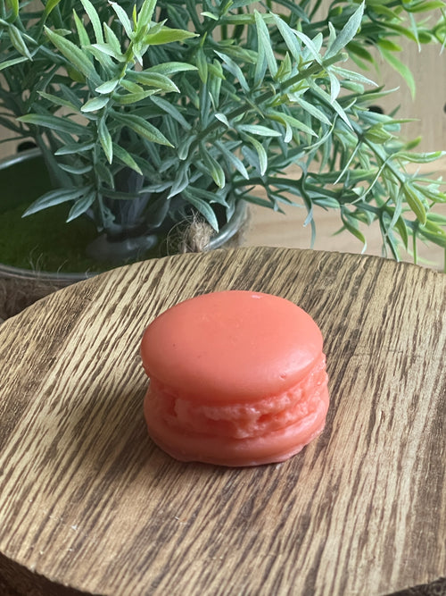 Set of 2 Macaron Wax Melts